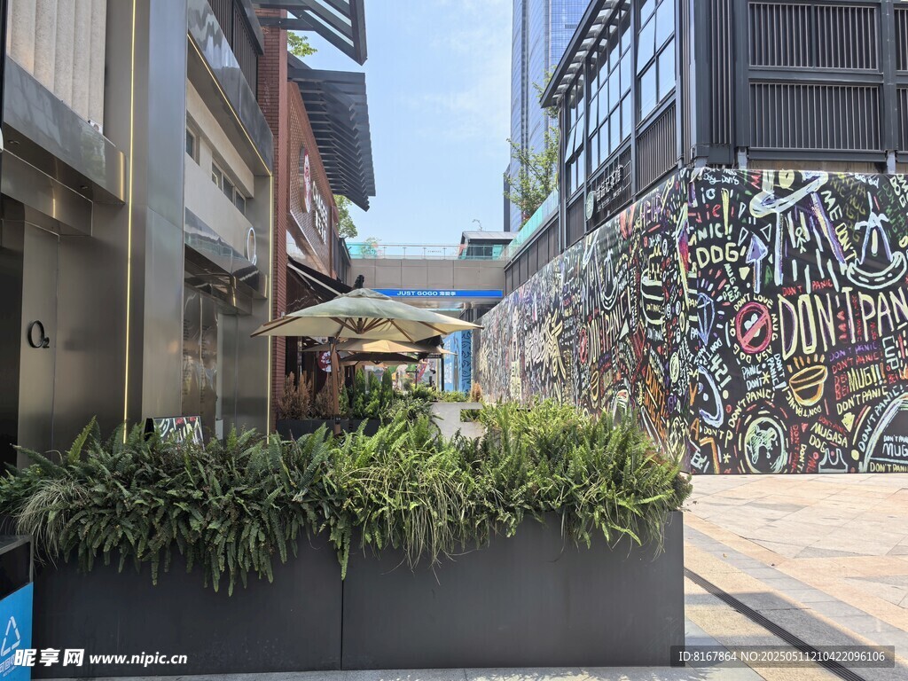 城市街头涂鸦与绿植景观