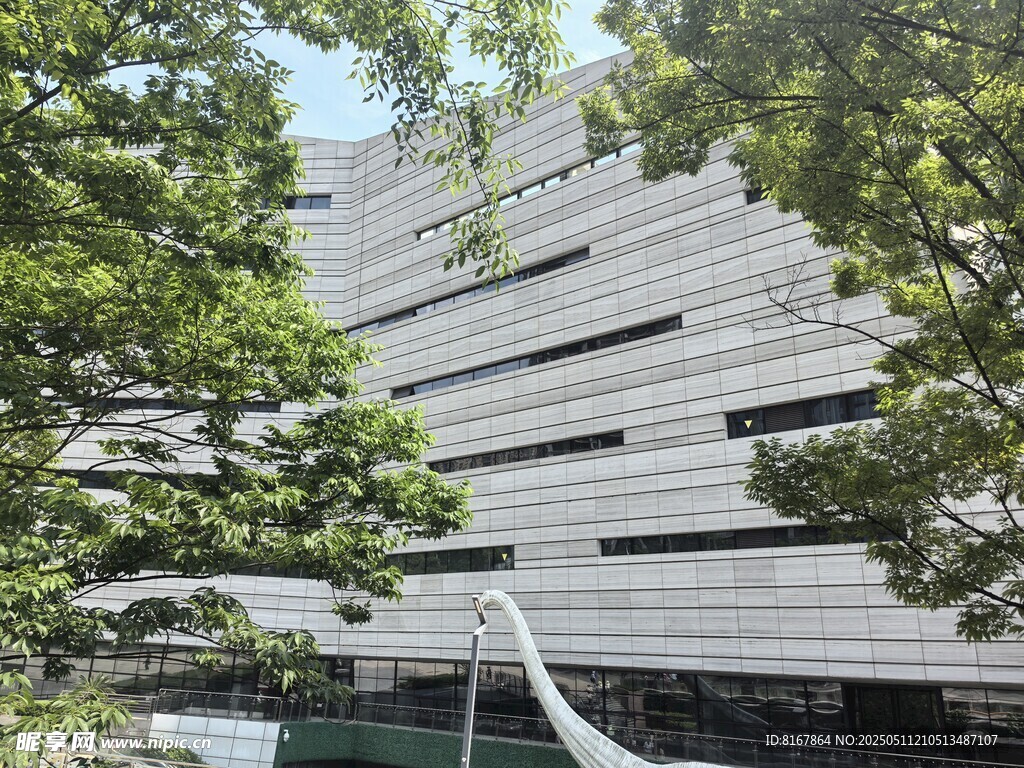 现代建筑与绿树相映成趣