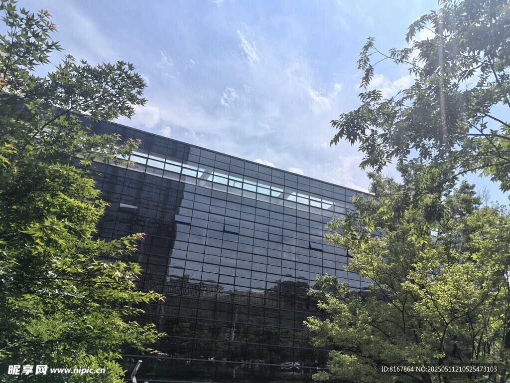 绿树环绕的现代玻璃建筑