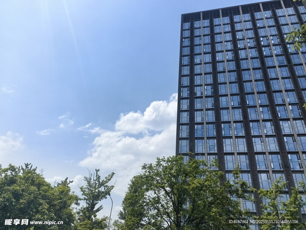 城市高楼与绿树相映成趣