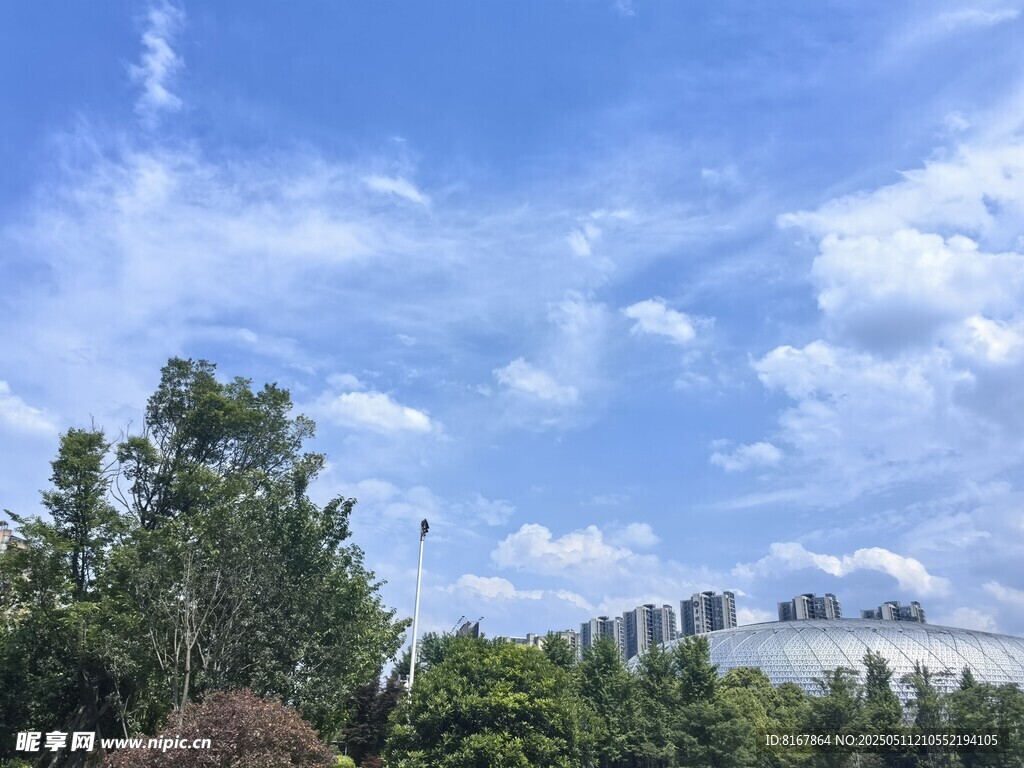 蓝天白云下的葱郁树林