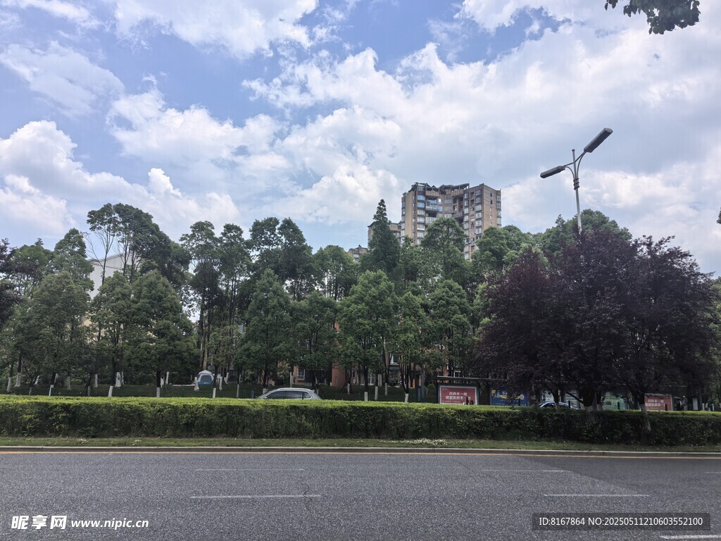 城市道路旁的绿树与建筑