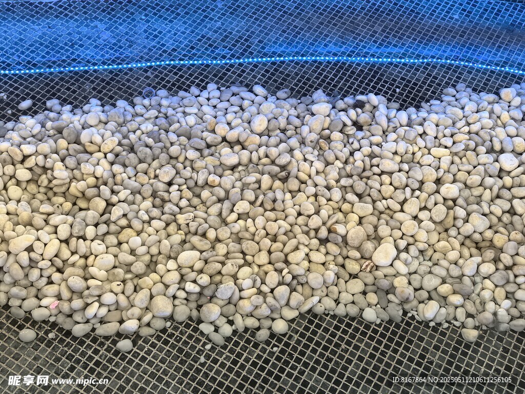 筛网上的白色颗粒物质