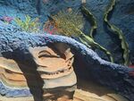 海底奇幻景观洞穴与植物