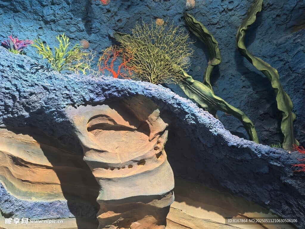 海底奇幻景观洞穴与植物