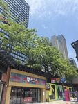 城市街头的多彩商铺与绿树