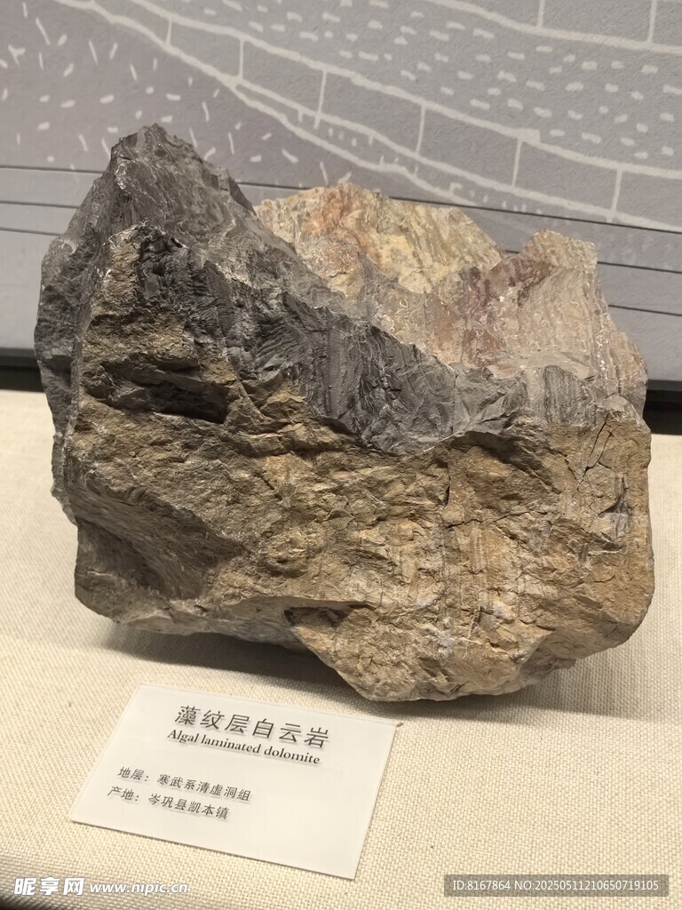 博物馆中的奇特矿石标本