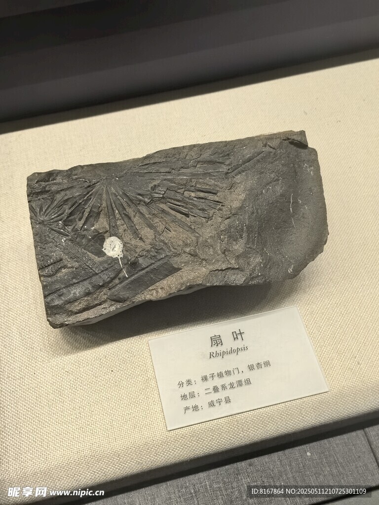 远古石制工具展示