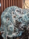 蓝绿色奇异矿石展示