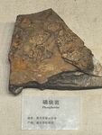 铜锈斑驳的古铜器残片
