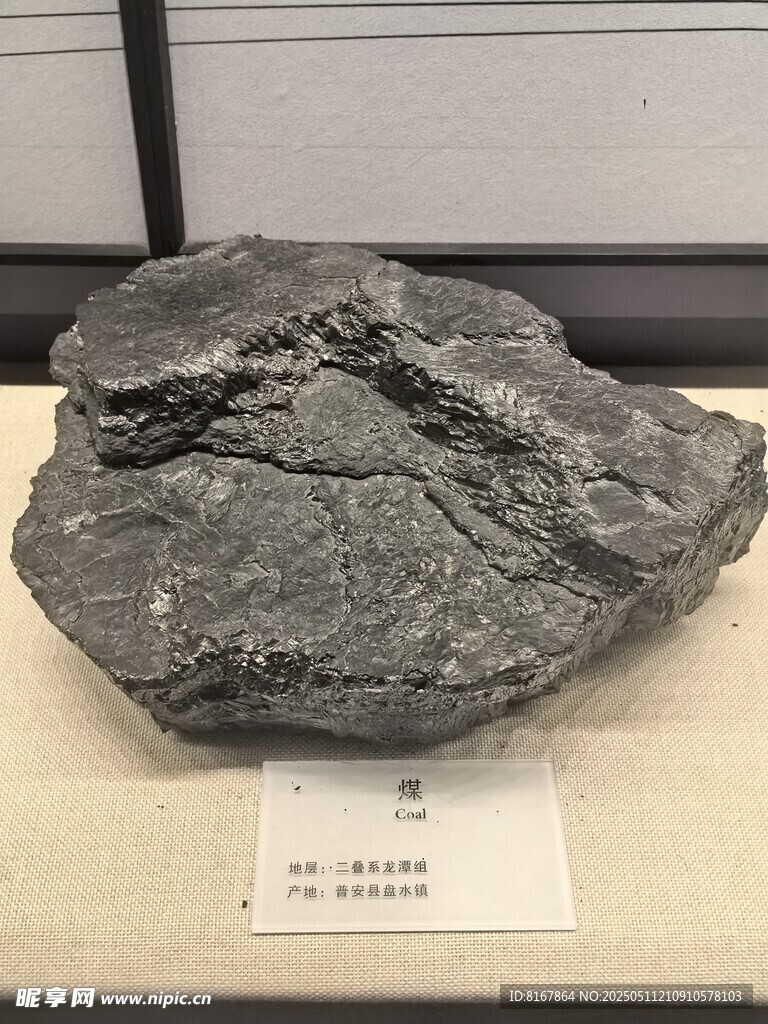 黑色岩石标本展示