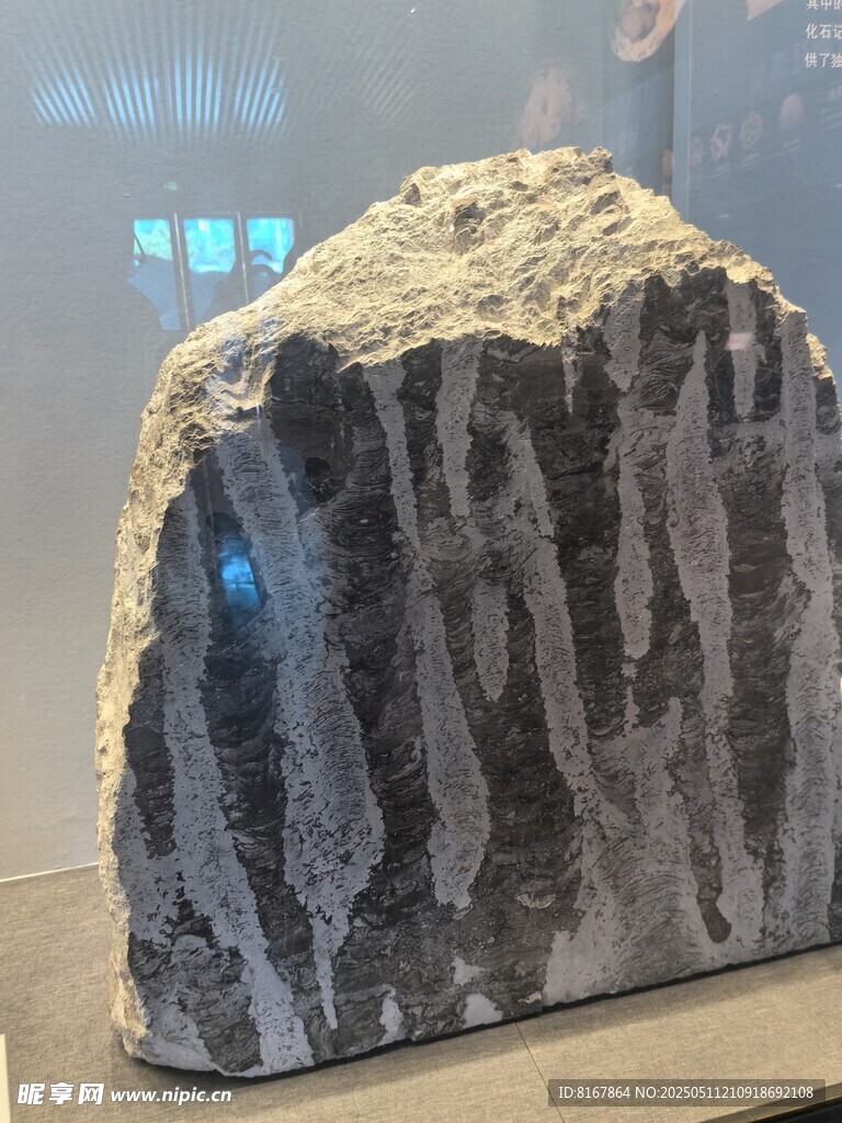 纹理独特的岩石标本