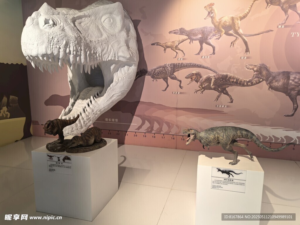 史前动物化石展示