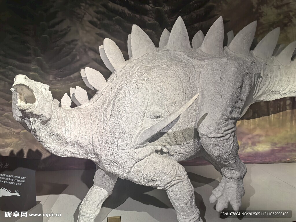 白色恐龙模型展示