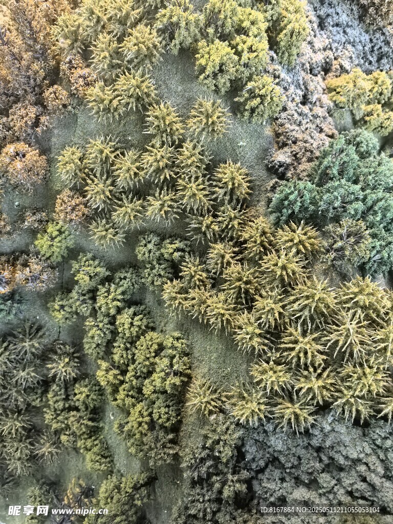 茂密绿植景观