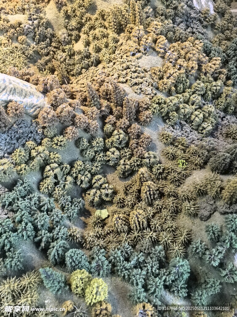 多彩纹理岩石景观