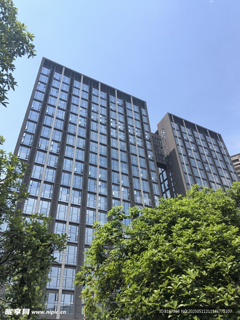 现代高楼与葱郁绿植景观