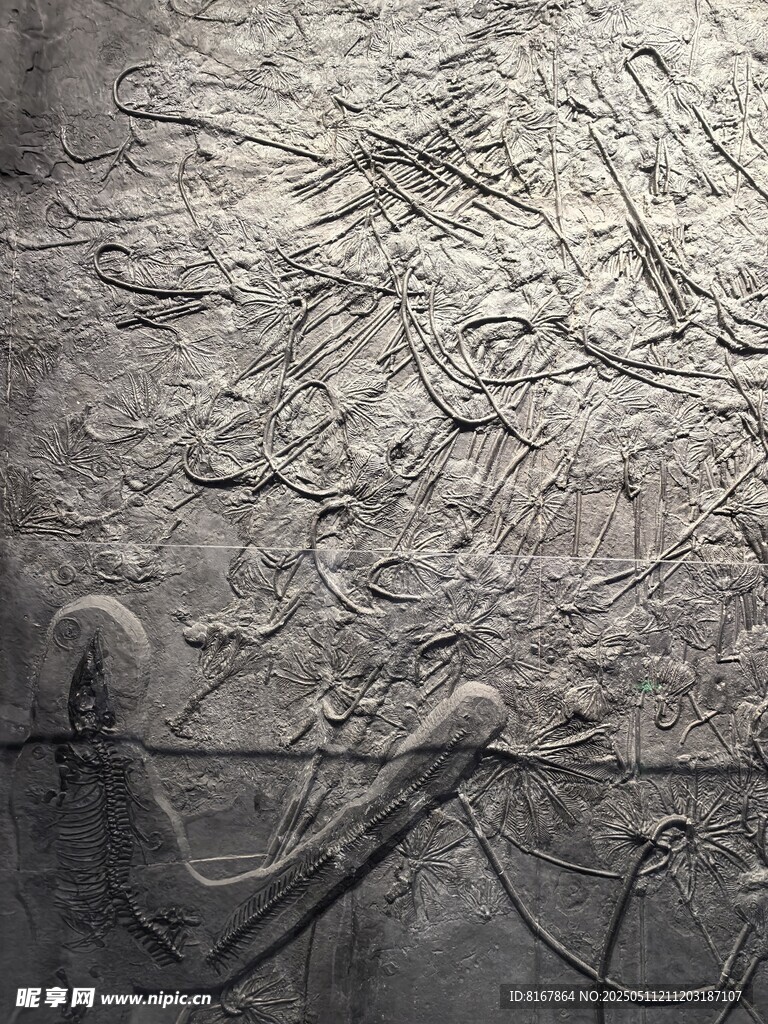 古老浮雕展现神秘图案