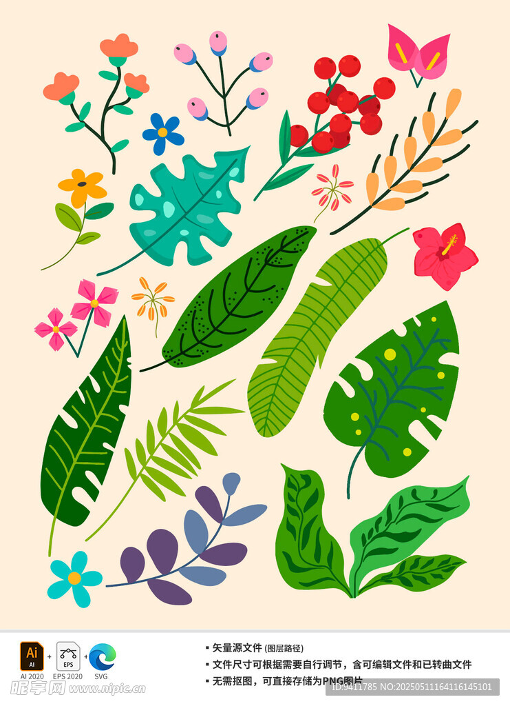 多彩花卉与叶片插画素材