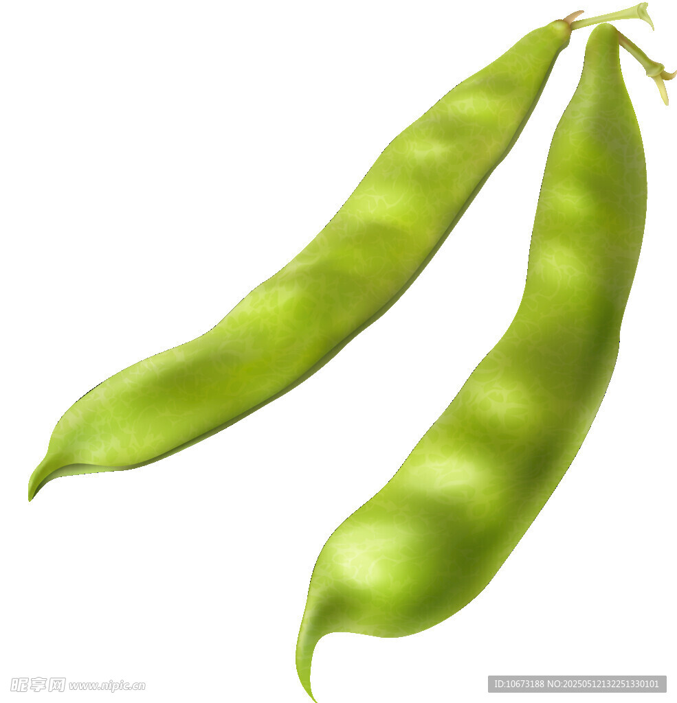 鲜嫩青豆荚