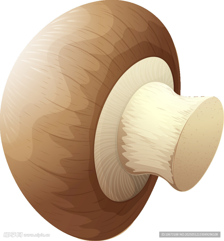 棕色蘑菇插画