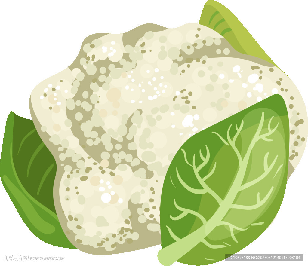 卡通风格的花椰菜与绿叶