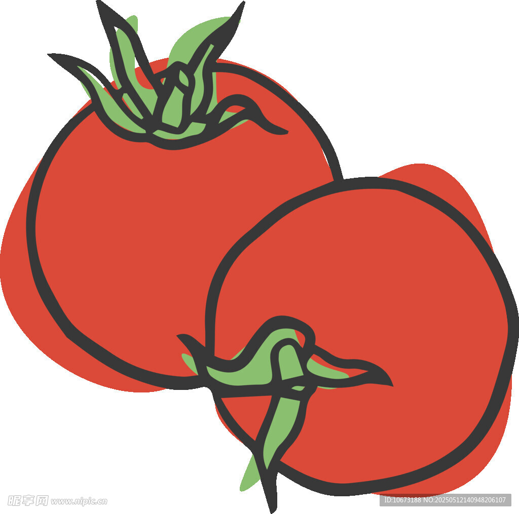 两个红番茄插画