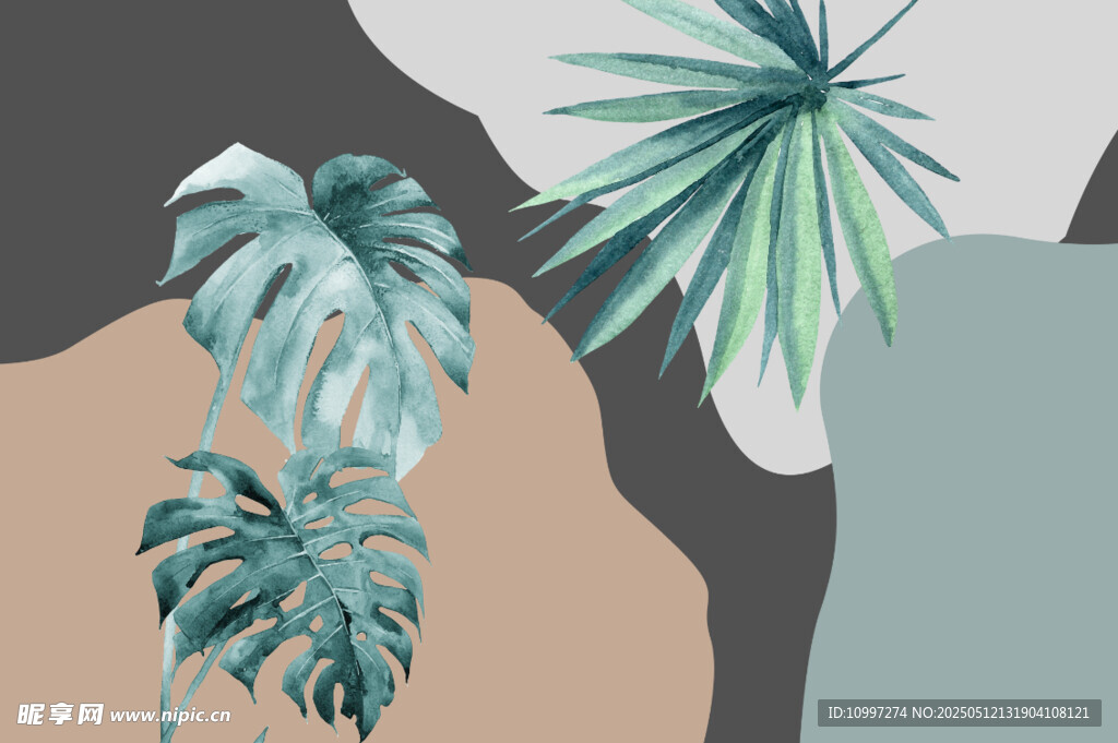 色块背景上的清新植物水彩插画