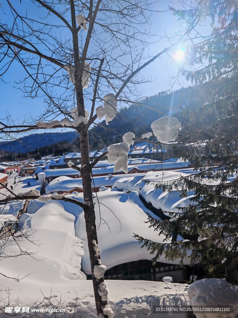 冬日雪覆村庄美景
