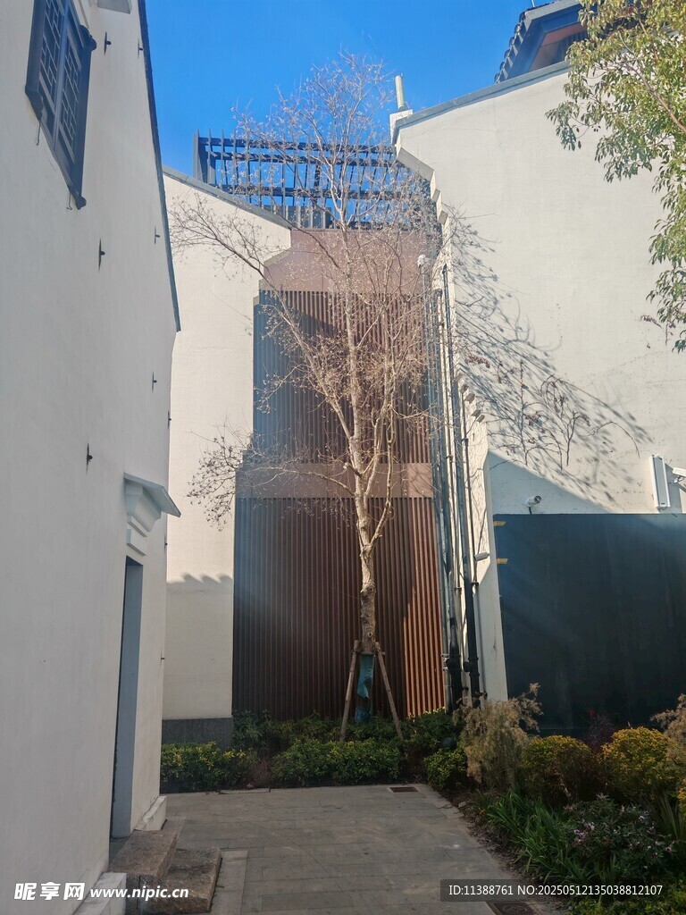户外庭院绿植景观一角