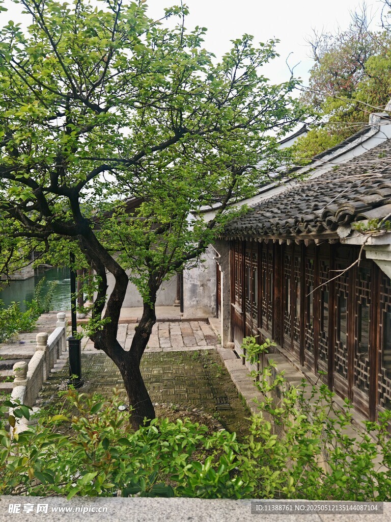 中式庭院一角的古朴景致