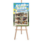 校园活动风采展示展板
