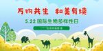 国际生物多性样日