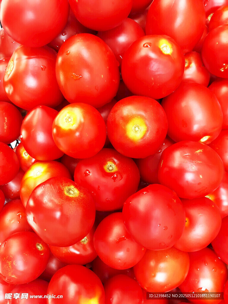 小番茄