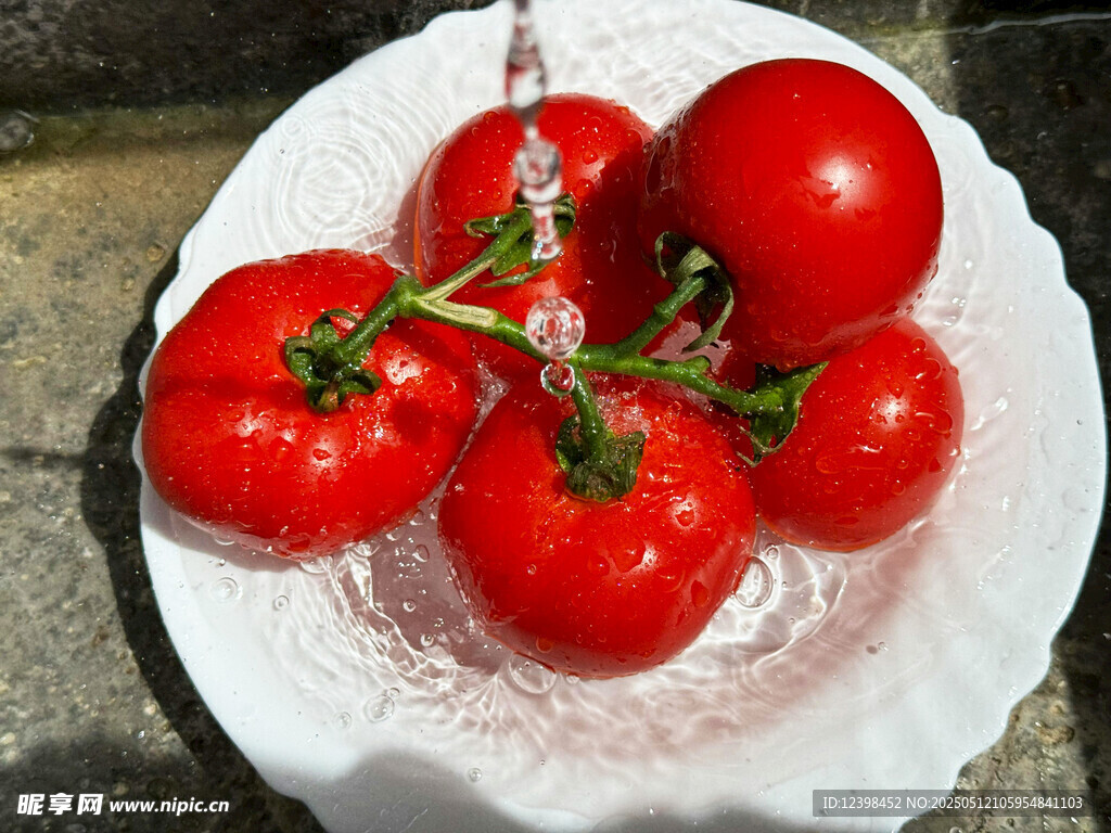 盘中鲜润西红柿
