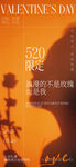 520海报