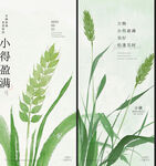 小满海报