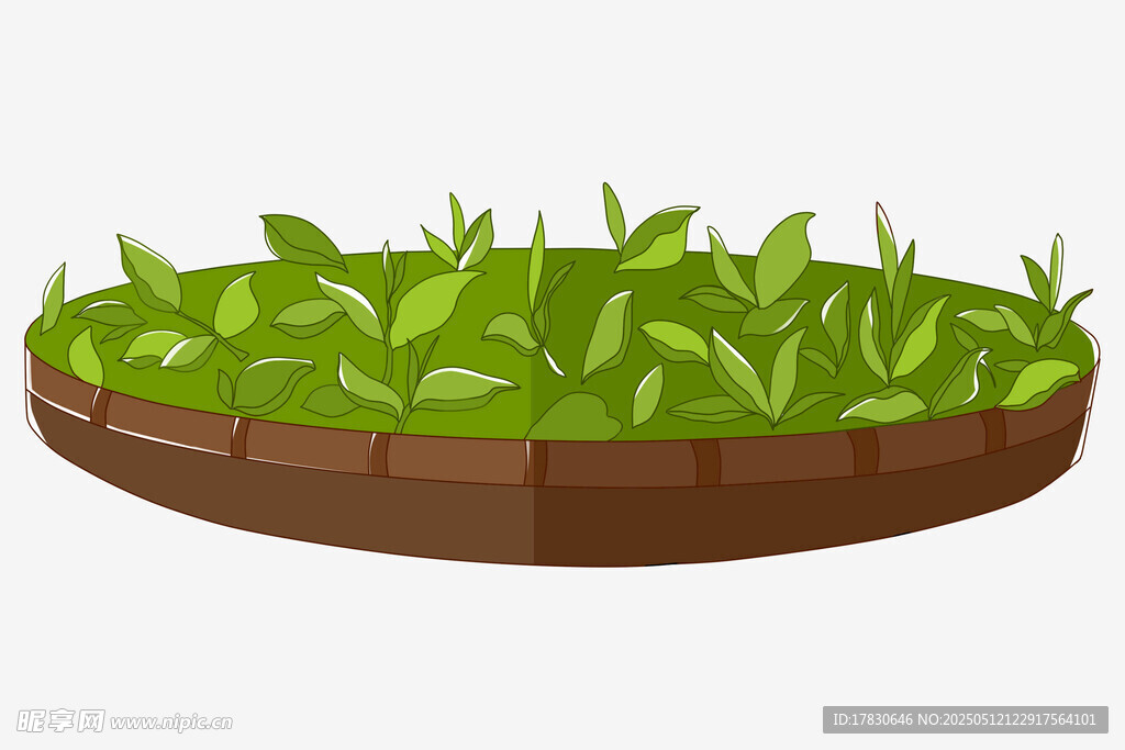 圆形绿植盆栽