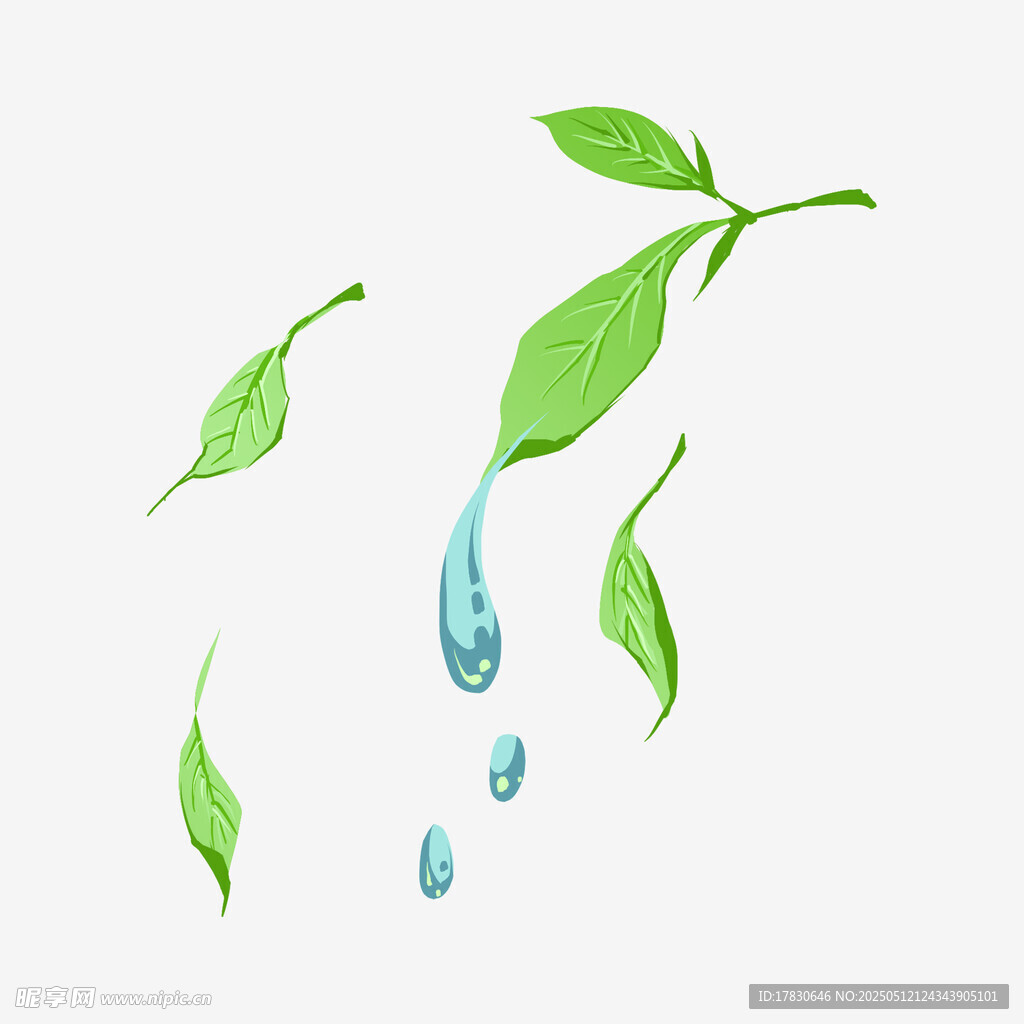 茶叶滴水