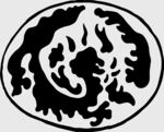 传统圆形龙纹图案