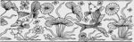 黑白花卉昆虫插画图案