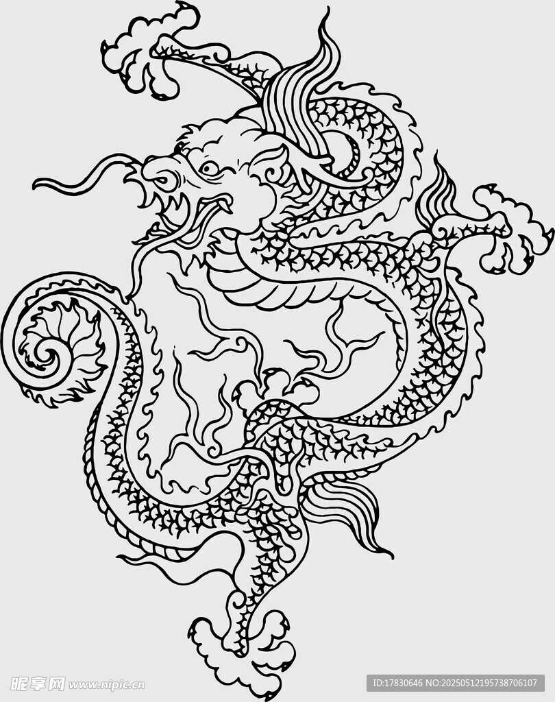 传统龙纹图案设计