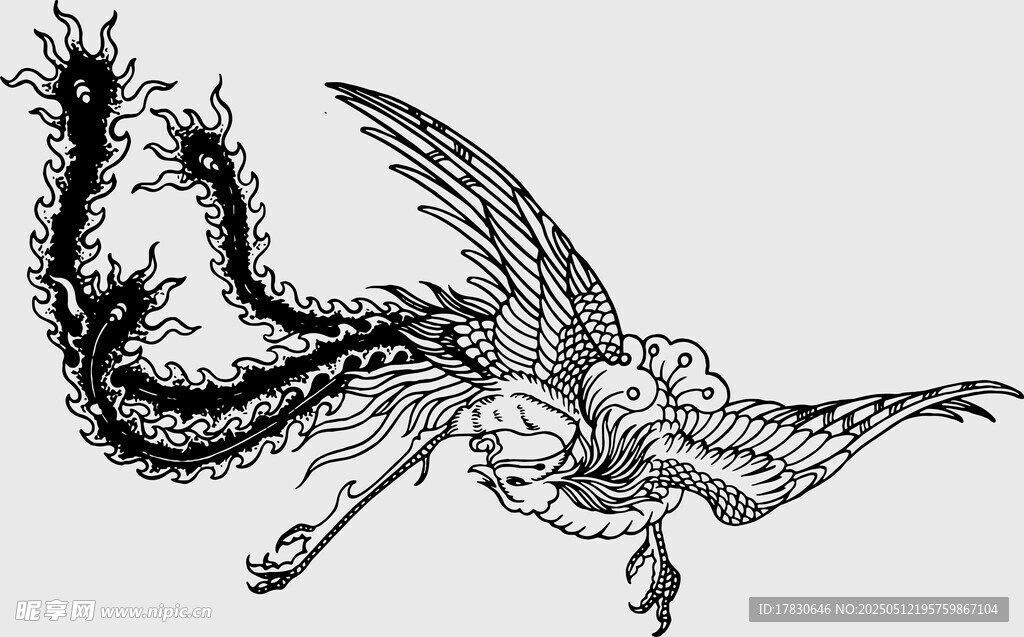 奇幻飞鸟插画