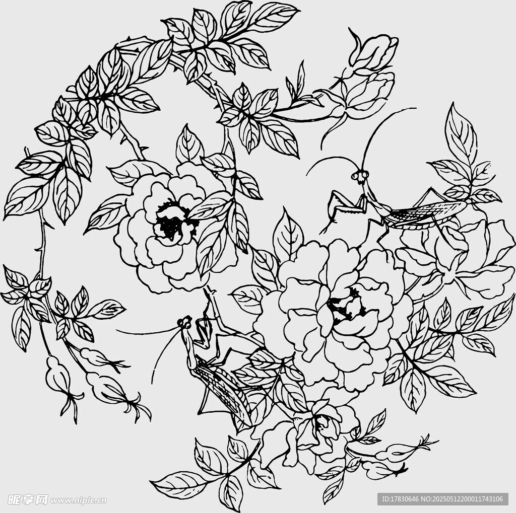 花卉线描图案设计稿