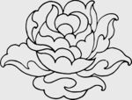 手绘线条牡丹花图案