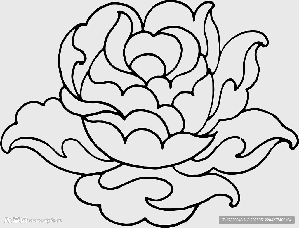 手绘线条牡丹花图案