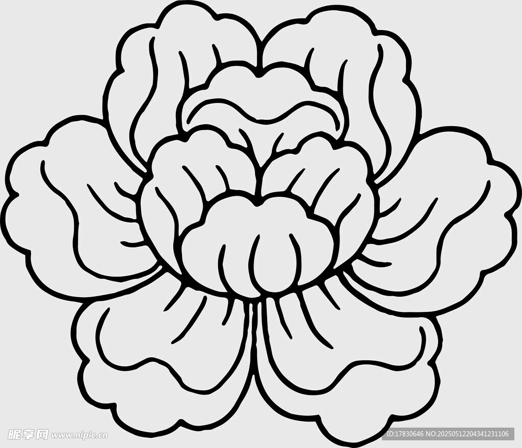 黑白线条牡丹花图案