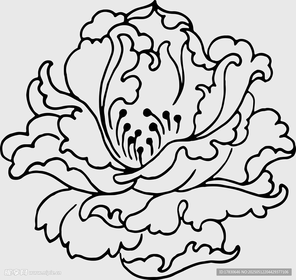 手绘黑白牡丹花图案