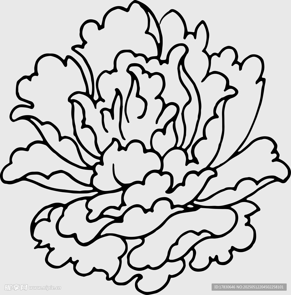 手绘牡丹花卉线稿图案