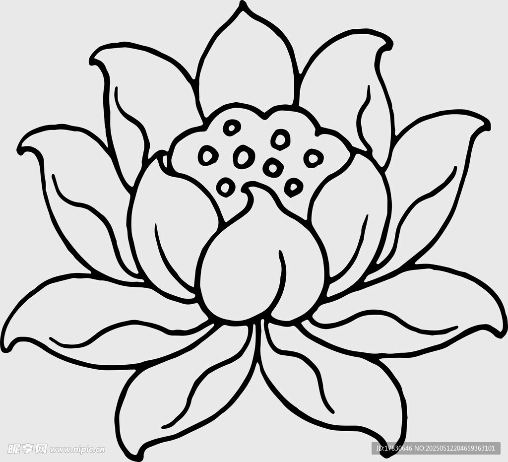 莲花线稿图案